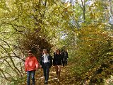 Roentgenlauf 2015 - 123.jpg